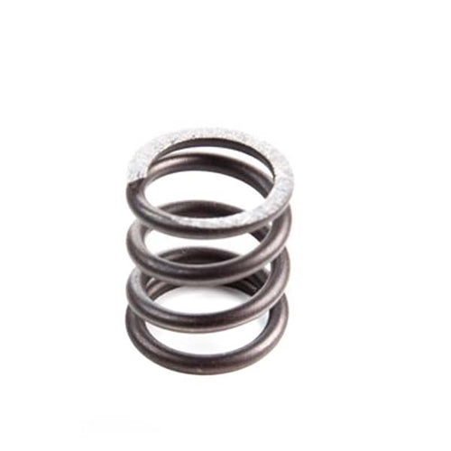 206 Valve Spring – Laukaitis Racing Inc.