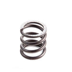 206 Valve Spring