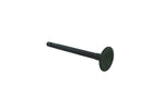 206/Animal Exhaust Valve 555552