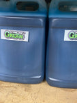 Original Krug Green Gallon